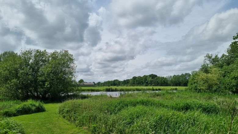 Uitzicht en zwemvijver Land van Een