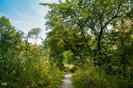 Wandelpad in het Westerpark in Zoetermeer.