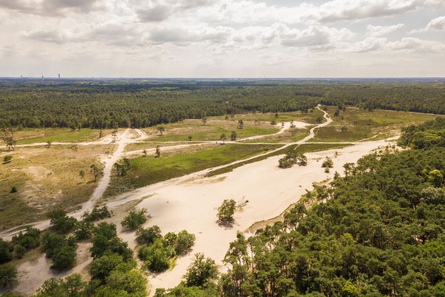 Loonse en Drunense Duinen
