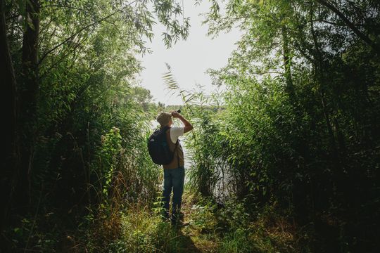 Oostvaardersplassen