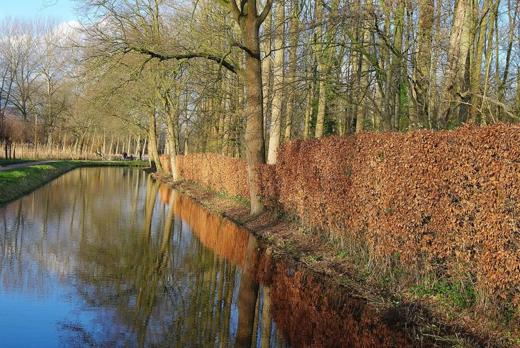 De Bundertjes