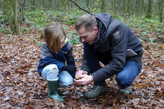 vader en kind bestuderen beestjes in een oude tak in het bos