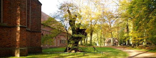 Klooster Ter Apel