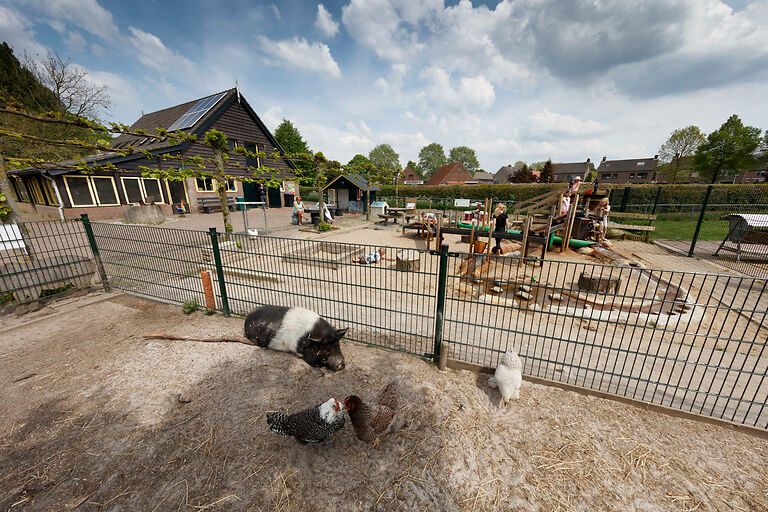 Tierfarm Dierenploeg Zevenbergen