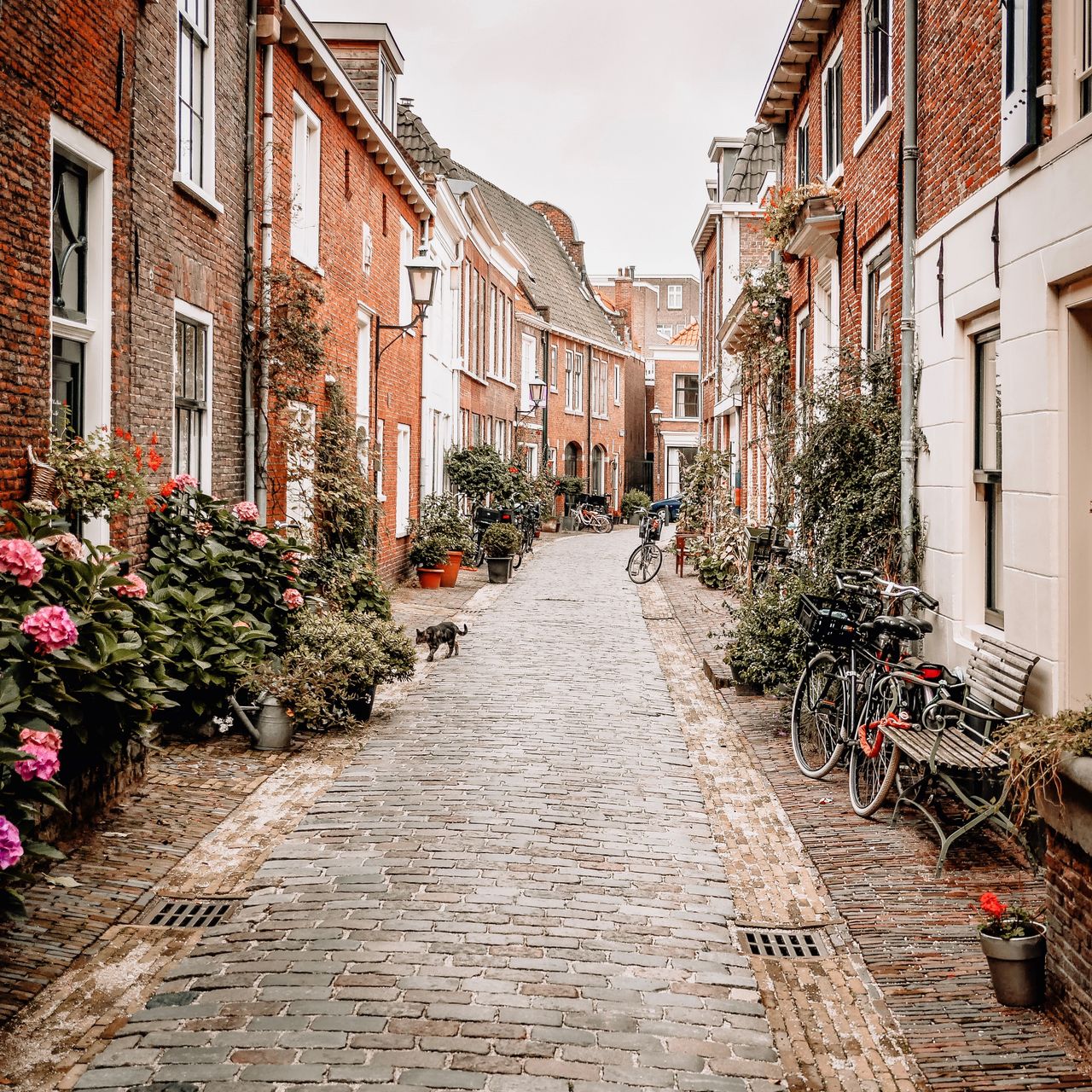 Steegjes in Historisch Amersfoort