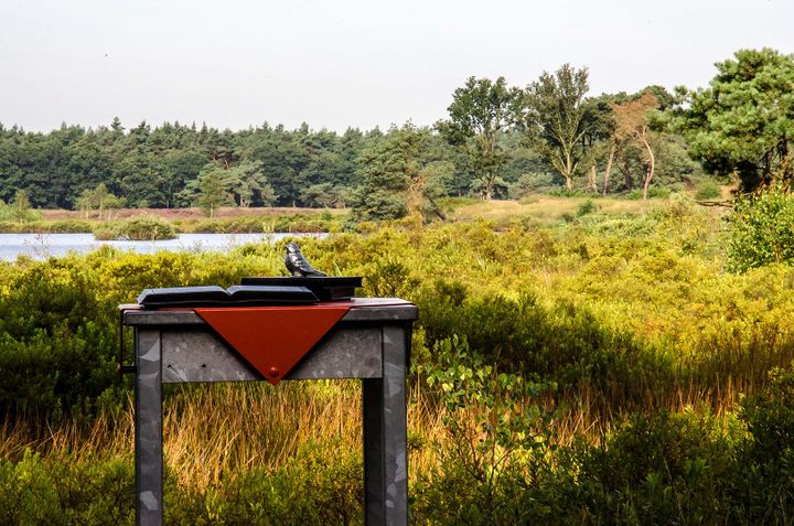 Beleef het Gedicht Frans Hoppenbrouwers Valkenswaard Natuur Malpie