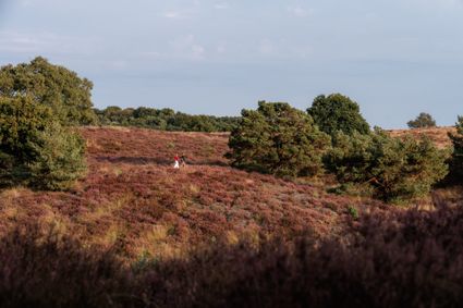Noord-Limburg Mook en Middelaar Mookerheide