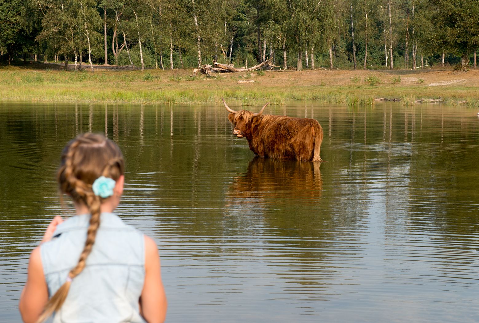 Struinen door Boswachterij Dorst