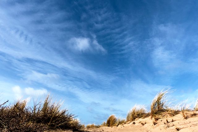 Lucht