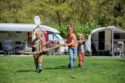 Kinderen spelen met een tak op camping de Waps.
