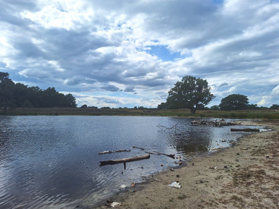 Groot rondje Bakkeveense duinen