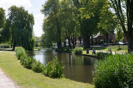 Wilhelminapark in Zoetermeer, water met gras langs de rand en bomen
