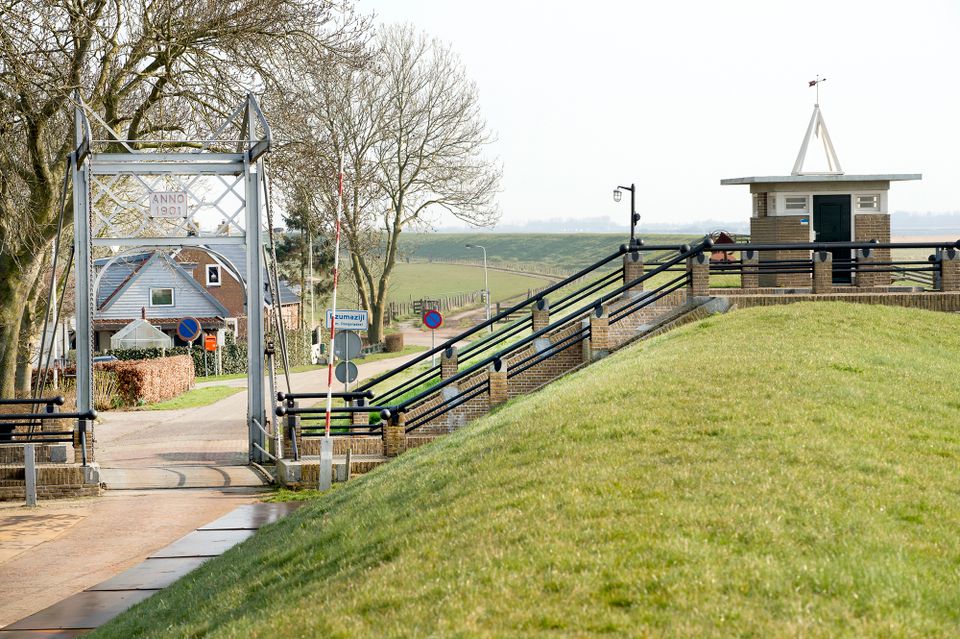 Vogels spotten langs Nationaal Park Lauwersmeer