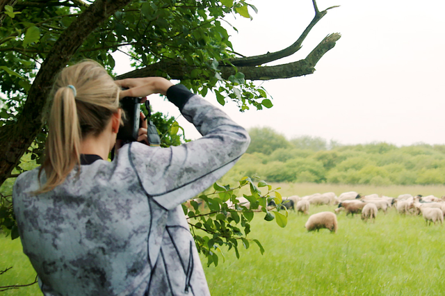 Een vrouw maakt een foto van een schaapskudde in de Drentse natuur.