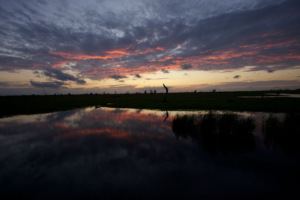 Landschapsfoto van de Oostvaardersplassen met een bijzondere lucht.