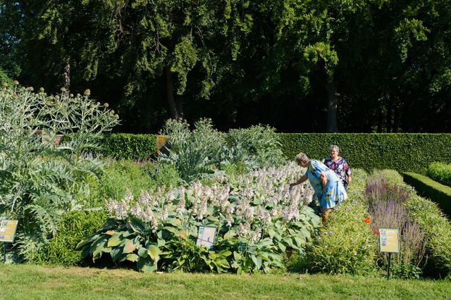 Twee vrouwen kijken rond in de kasteeltuin van Kasteel Groeneveld en bekijken de bloemen aandachtig
