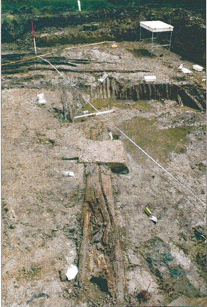 Romeinse duiker met op de achtergrond beschoeiingspalen