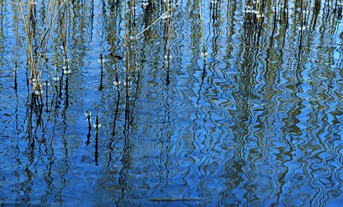 Een foto van water landschap