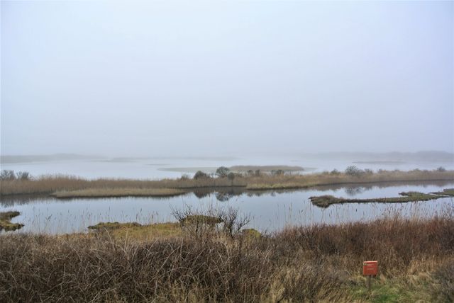 Vlieland Kroonspolder in mist 7 (klein)