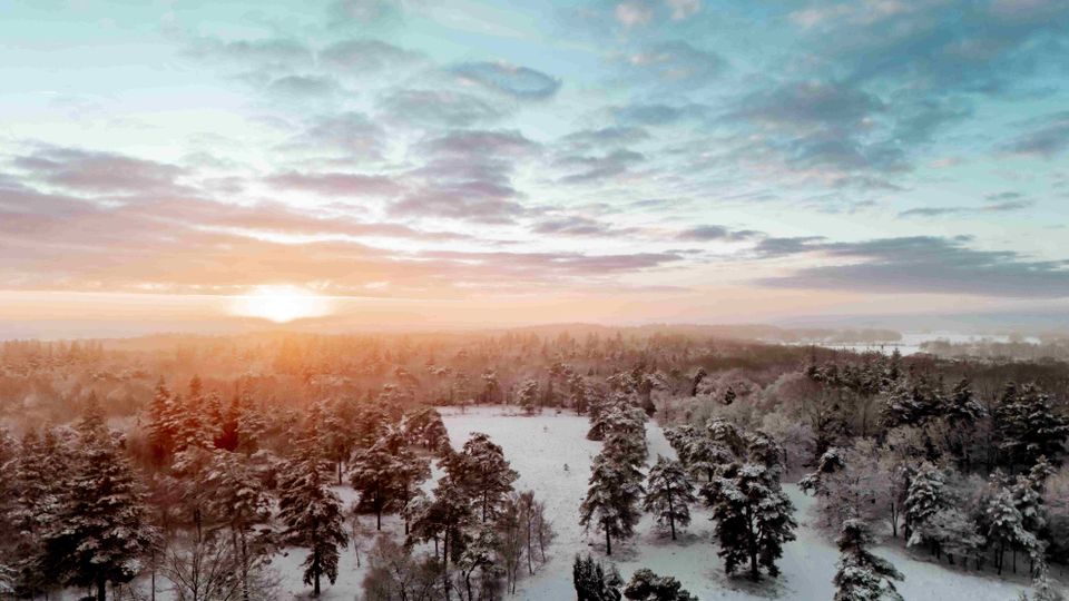 Boswachterij ruinen droneshot van bovenaf, winter