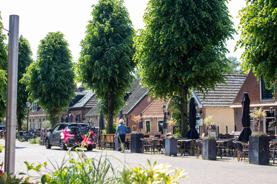 een foto op de brink straat in oudemirdum, je ziet terassen b bloemen in de bomen staan er zomers bij
