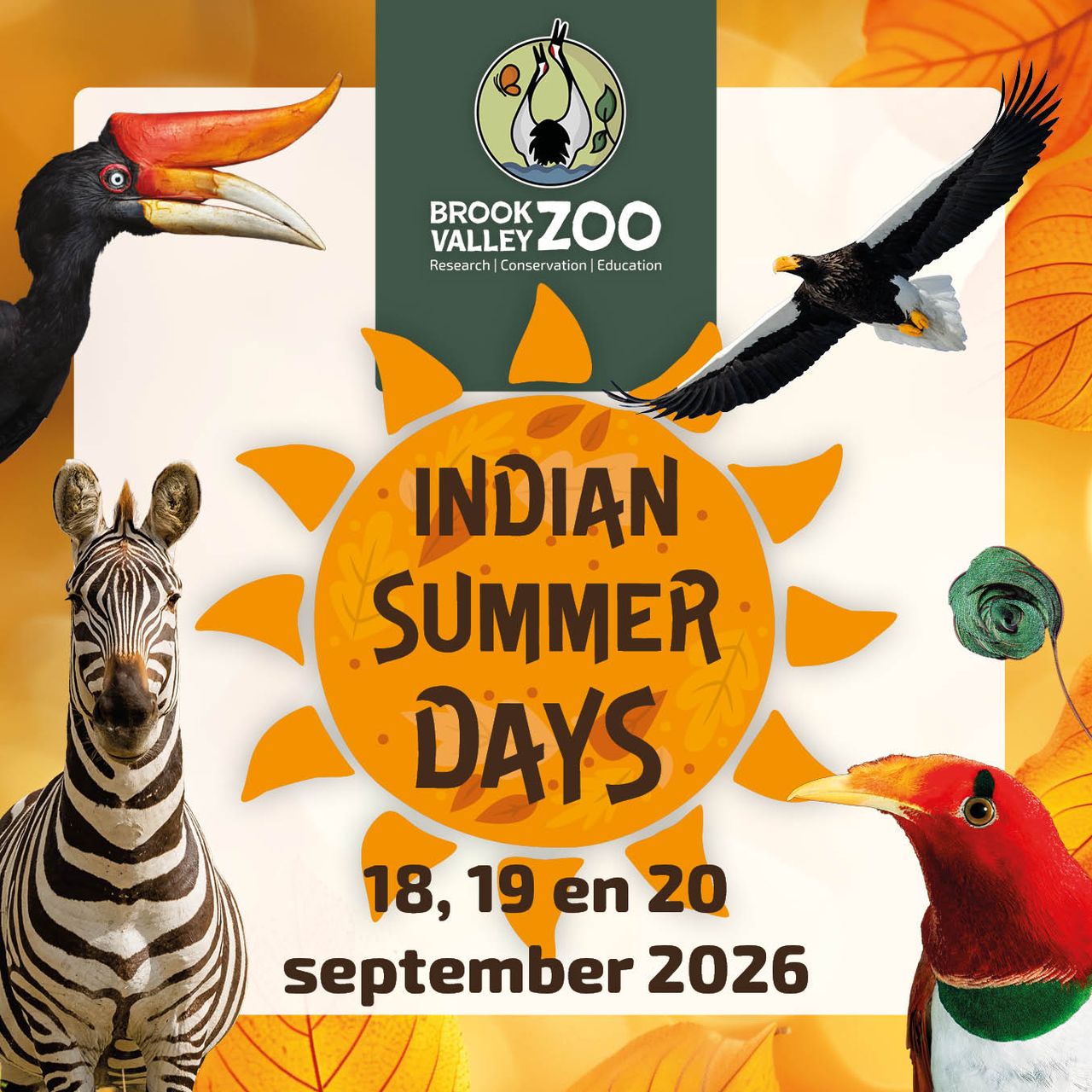 Brook Valley Zoo: Indian Summer Days 2026