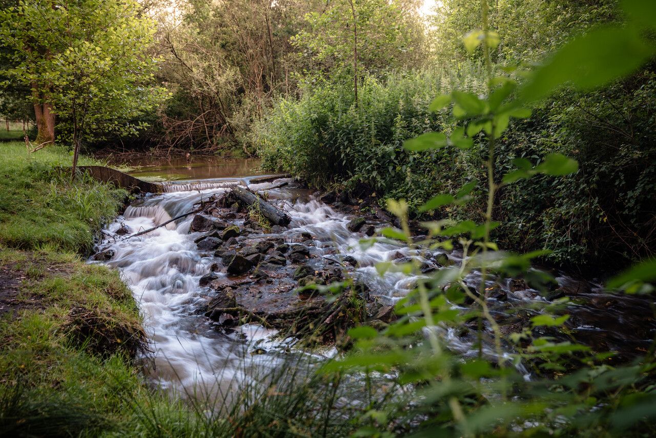 Stroming in het water in Mullemer Bemden