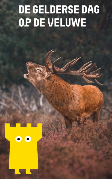 Beleeft de Gelderse Dag op de Veluwe