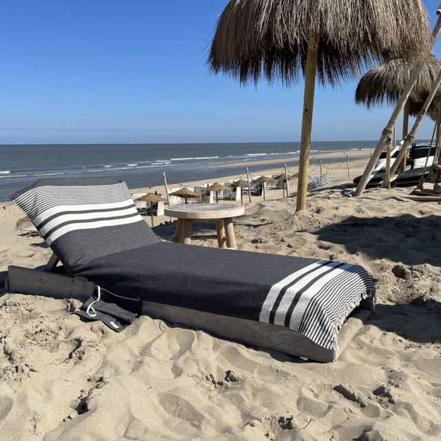 Loungie Travel available in 8 colors
