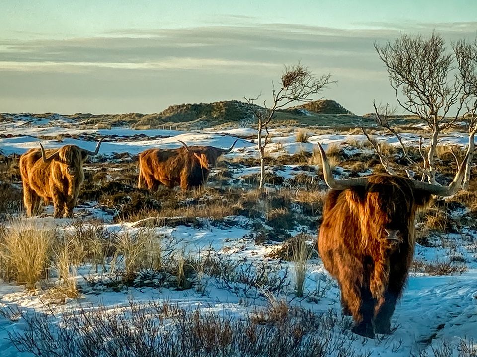 Linde Fotografie Vlieland