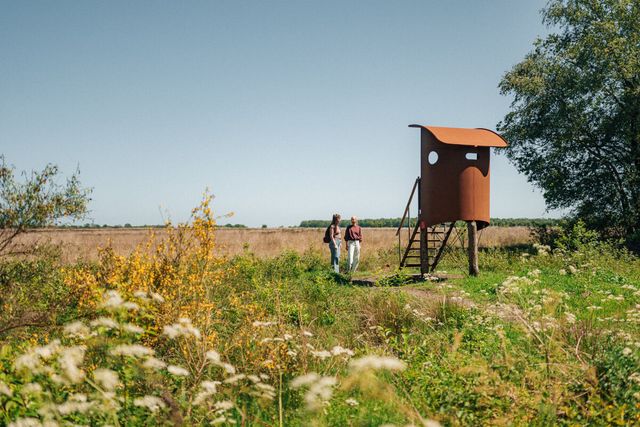 Buiten Bereik zinzitter