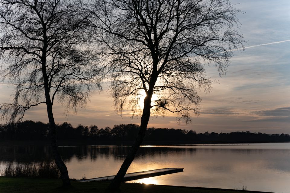 Een foto van een stel kale bomen naast het Nannewiid