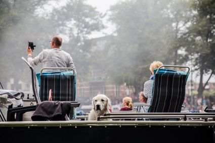 Reuzen van Royale de Luxe - Hond Xolo