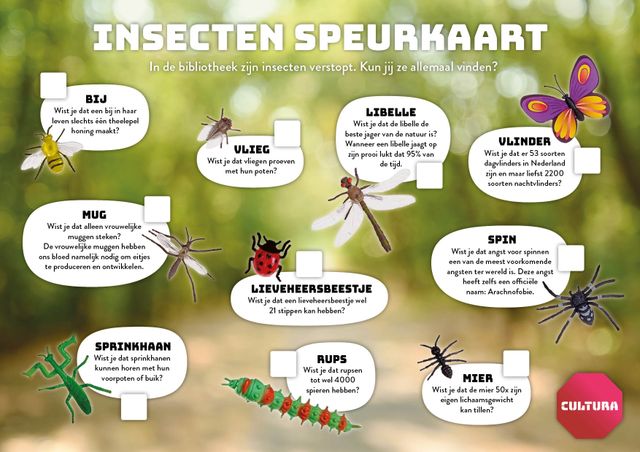 Insecten speurkaart