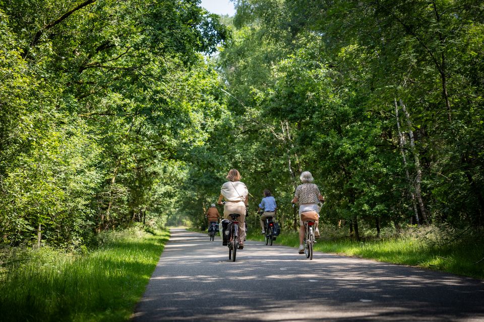 Groepje fietsers tussen de groene bomen in de Van Tienhovenlaan in Oisterwijk