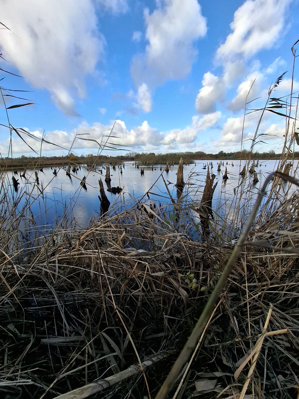 Wandelroute rondom Jan Durkspolder | Nationaal Park De Alde Feanen