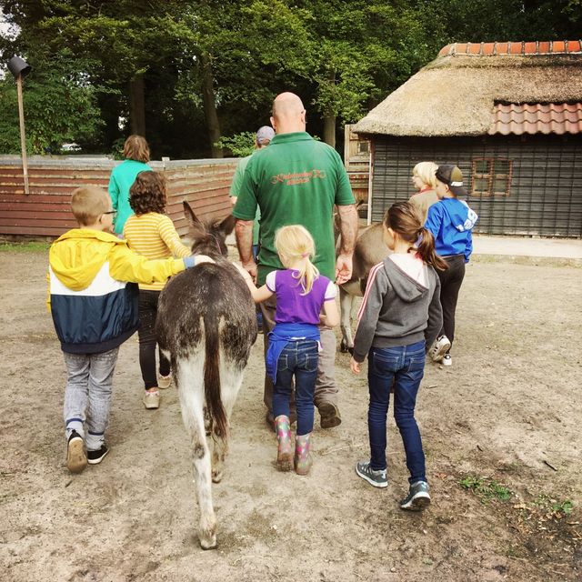 Kindercursus dierenverzorgen bij het kasteel Geldrop