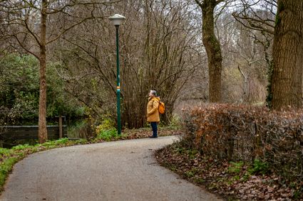 Wandelgebied Landgoed Bredius in Woerden, Groene Hart, met een wandelaar op een slingerend pad tussen kale bomen en winterse begroeiing. Foto: Harald Lakerveld.