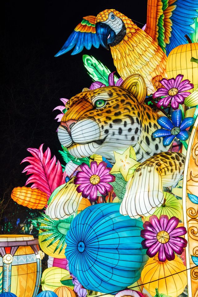 Light Safari - Safaripark Beekse Bergen lichtkunstwerk 2024