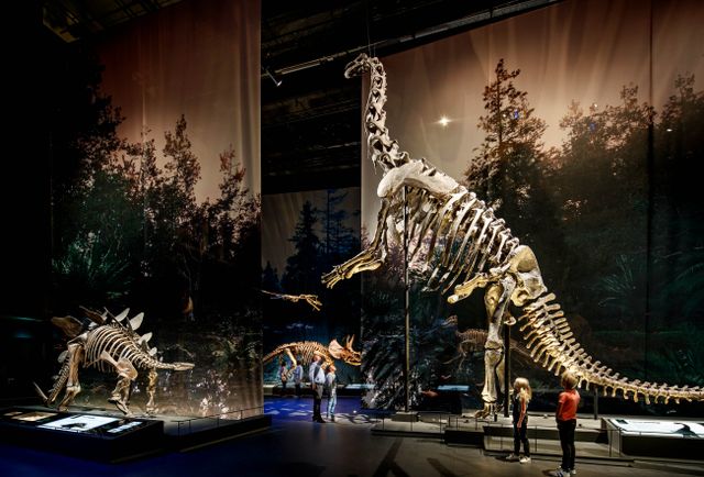 Ruimte Dinotijd