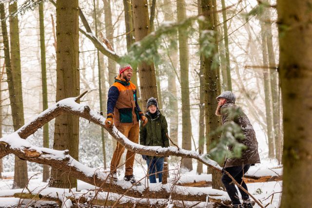 Winter met sneeuw in het Philips de Jong wandelpark in Eindhoven