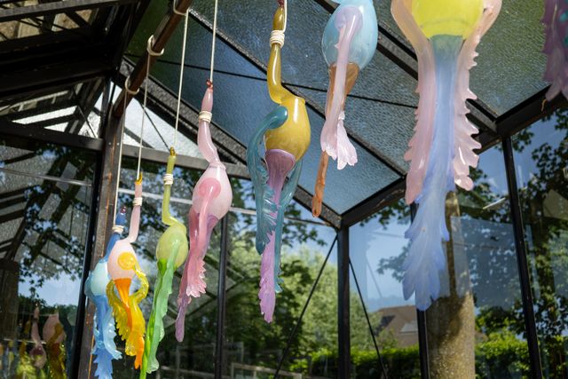 Paradijsvogels, stilleven, beweeglijkheid van vloeibaar glas stilgelegd.
