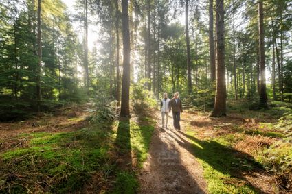 wandelen stel frederiksoord bos