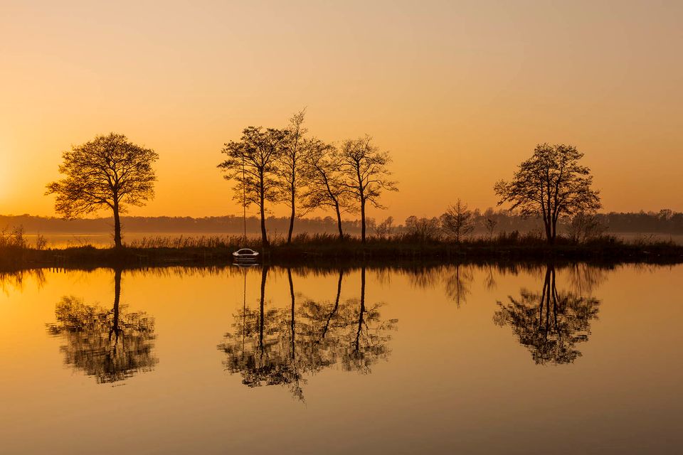 Nannewiid gele lucht