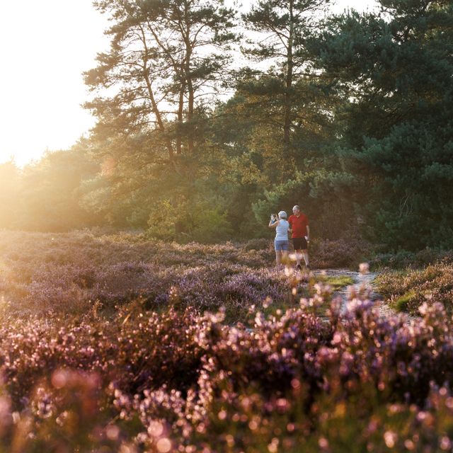 twee mensen wandelen door de heidevelden