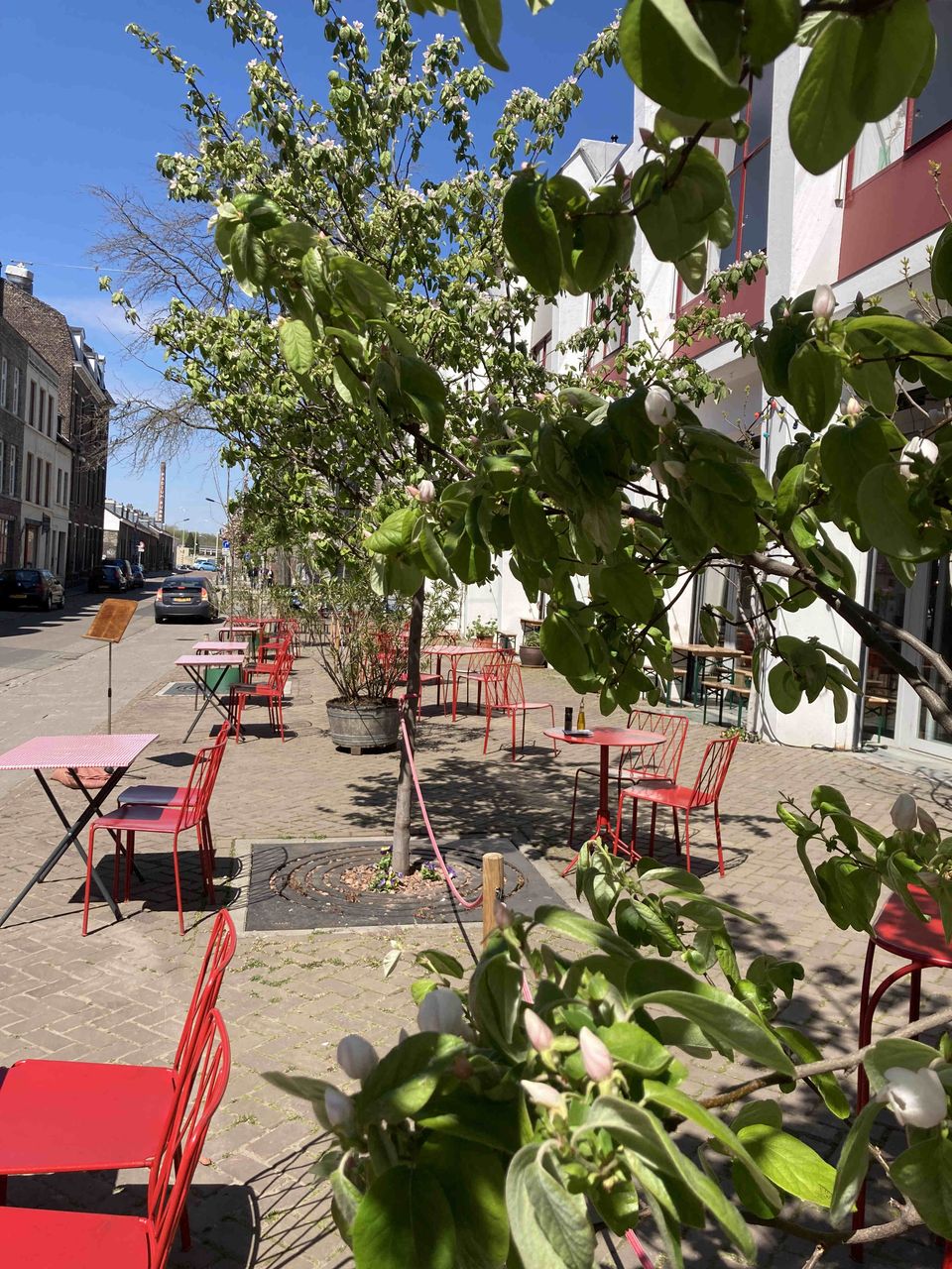Fire canteen Maastricht terrace plants chairs