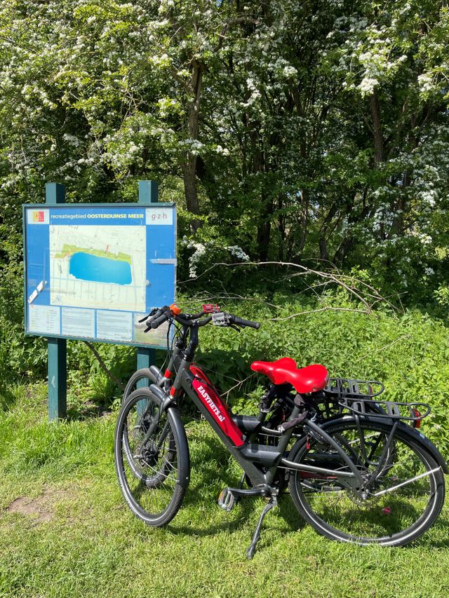 Fietsen EasyFiets