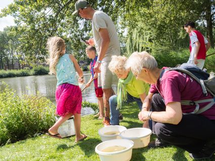 Mensen zoeken waterbeestjes in het water
