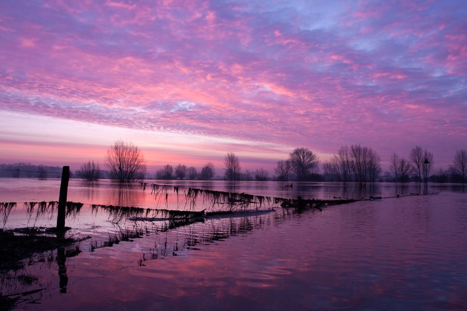 Fototentoonstelling van natuurfotograaf Walter van Os