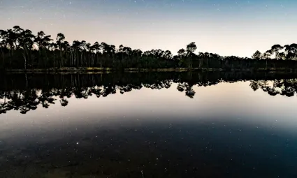 Avondfoto van een deel van de Oisterwijkse bossen met op de voorgrond een van de vennen.